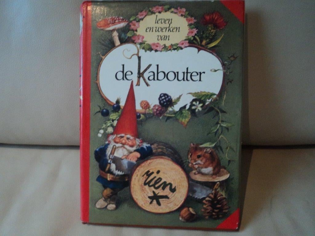 Leven En Werken Van De Kabouter, Ophalen of Verzenden, Zo goed als nieuw, Schilder- en Tekenkunst