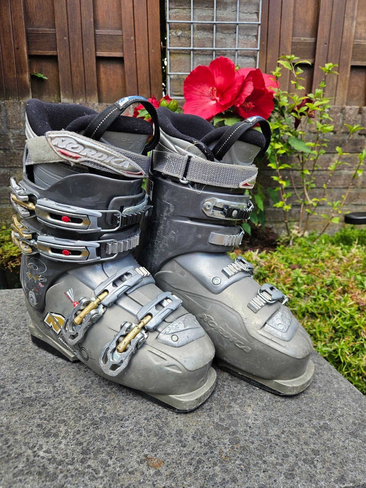 Nordica Skischoenen - Maat 24.0/24.5 (285 mm), Gebruikt, Schoenen, Ophalen of Verzenden, Nordica