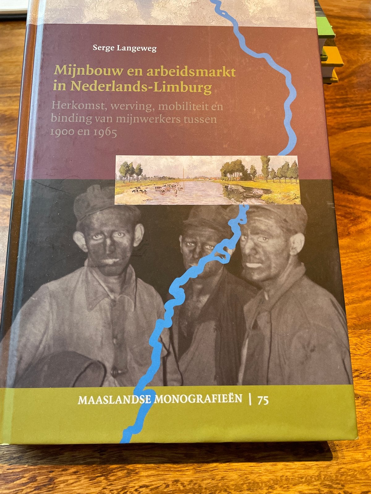 Serge Langeweg - Mijnbouw en arbeidsmarkt in Limburg, Boeken, Ophalen of Verzenden, Zo goed als nieuw, Serge Langeweg, Nederland