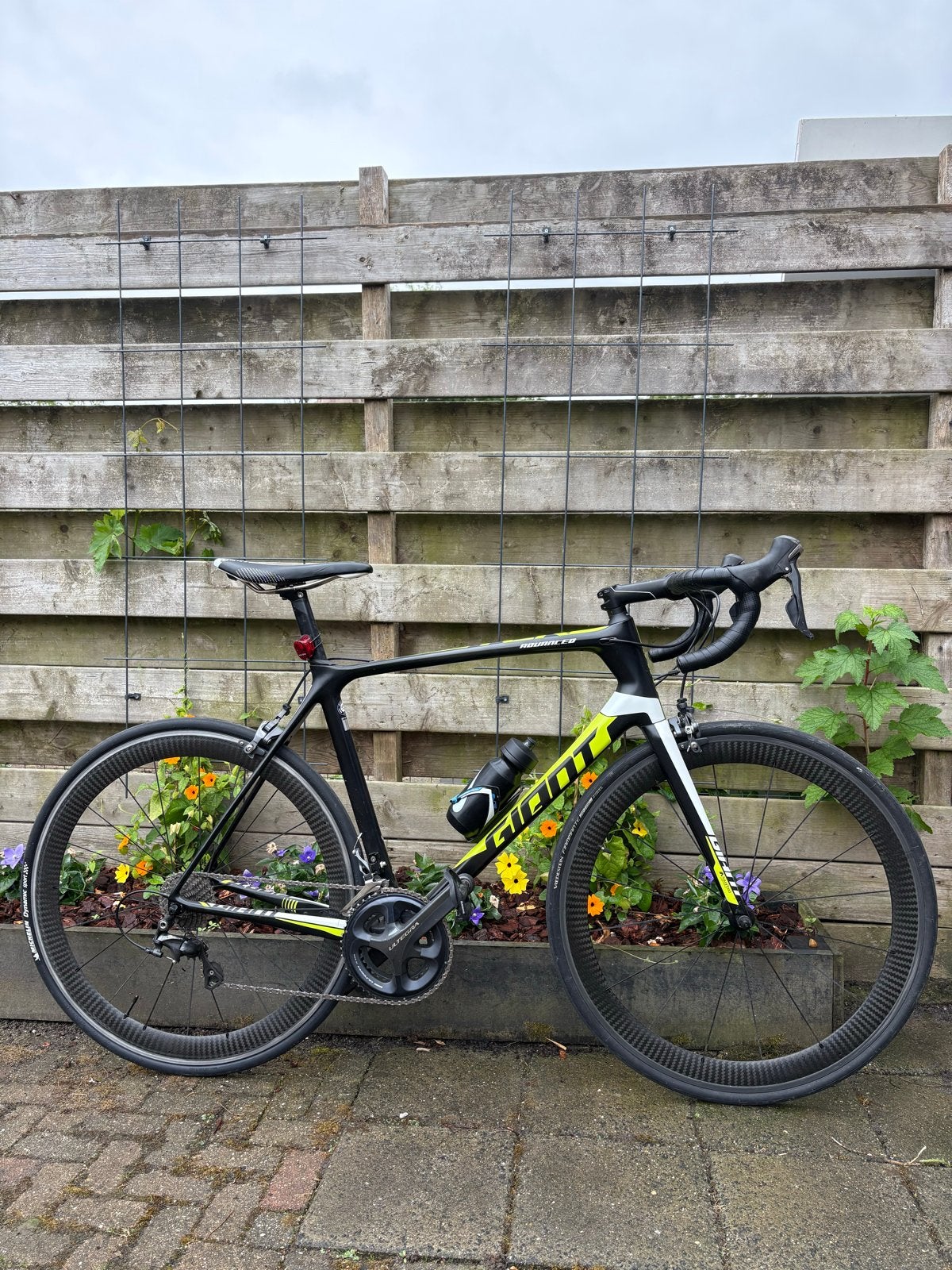 Giant Racefiets M | Ultegra | Volledig Carbon, Ophalen, 28 inch, Gebruikt, Velgrem