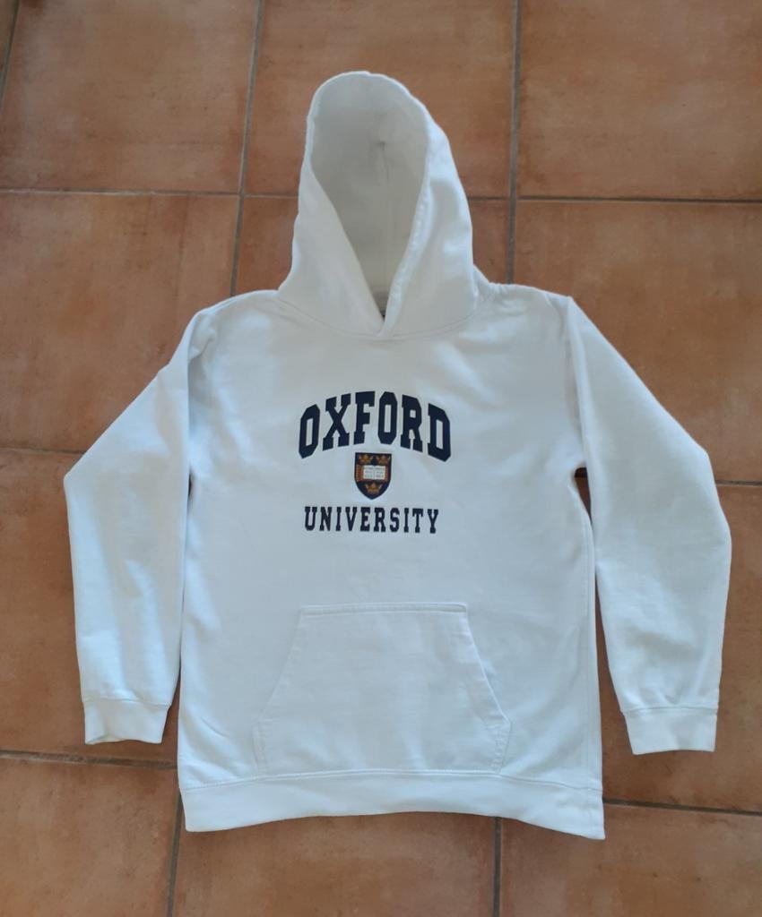 Hoodie, meisje, 13 jr zgan € 8,00, Meisje, Trui of Vest, Ophalen of Verzenden, Zo goed als nieuw