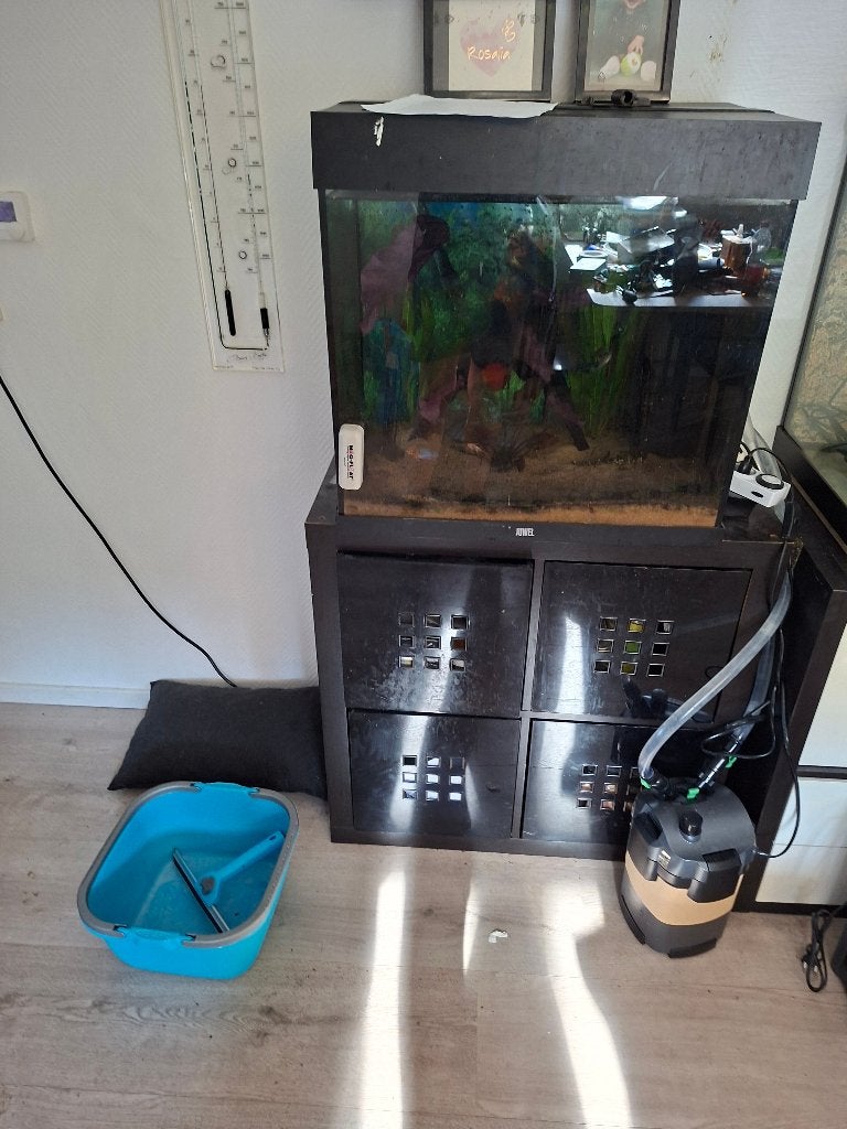 aquarium 60x40x50 met internepomp leeg, Dieren en Toebehoren, Ophalen, Gebruikt, Leeg aquarium, Verwarming