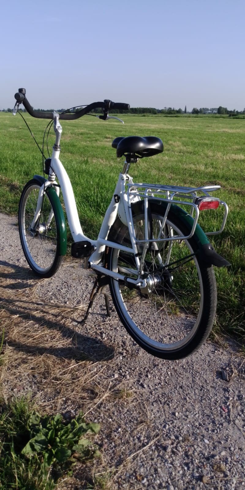 fiets met lage instap 26 inch, Fietsen en Brommers, Fietsen | Dames | Damesfietsen, Terugtraprem, (Extra) lage instap, Nieuw, 50 tot 53 cm