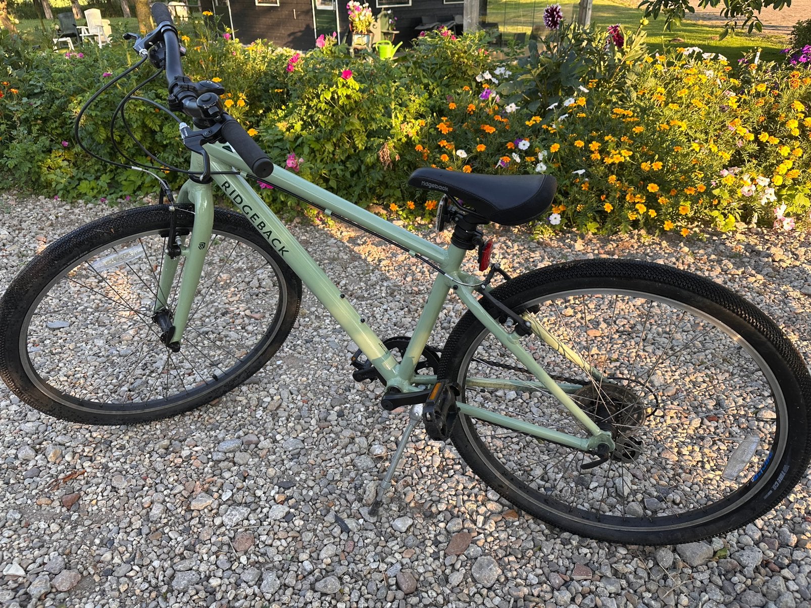 Ridgeback hybride / mountainbike 7 versnellingen, Ophalen, Zo goed als nieuw, Aluminium, 24 inch of meer