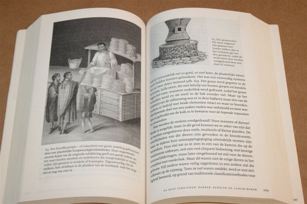 Pompeii — Mary Beard Dagelijks Leven Romeinse Stad, Boeken, Ophalen of Verzenden, 14e eeuw of eerder, Gelezen, Europa