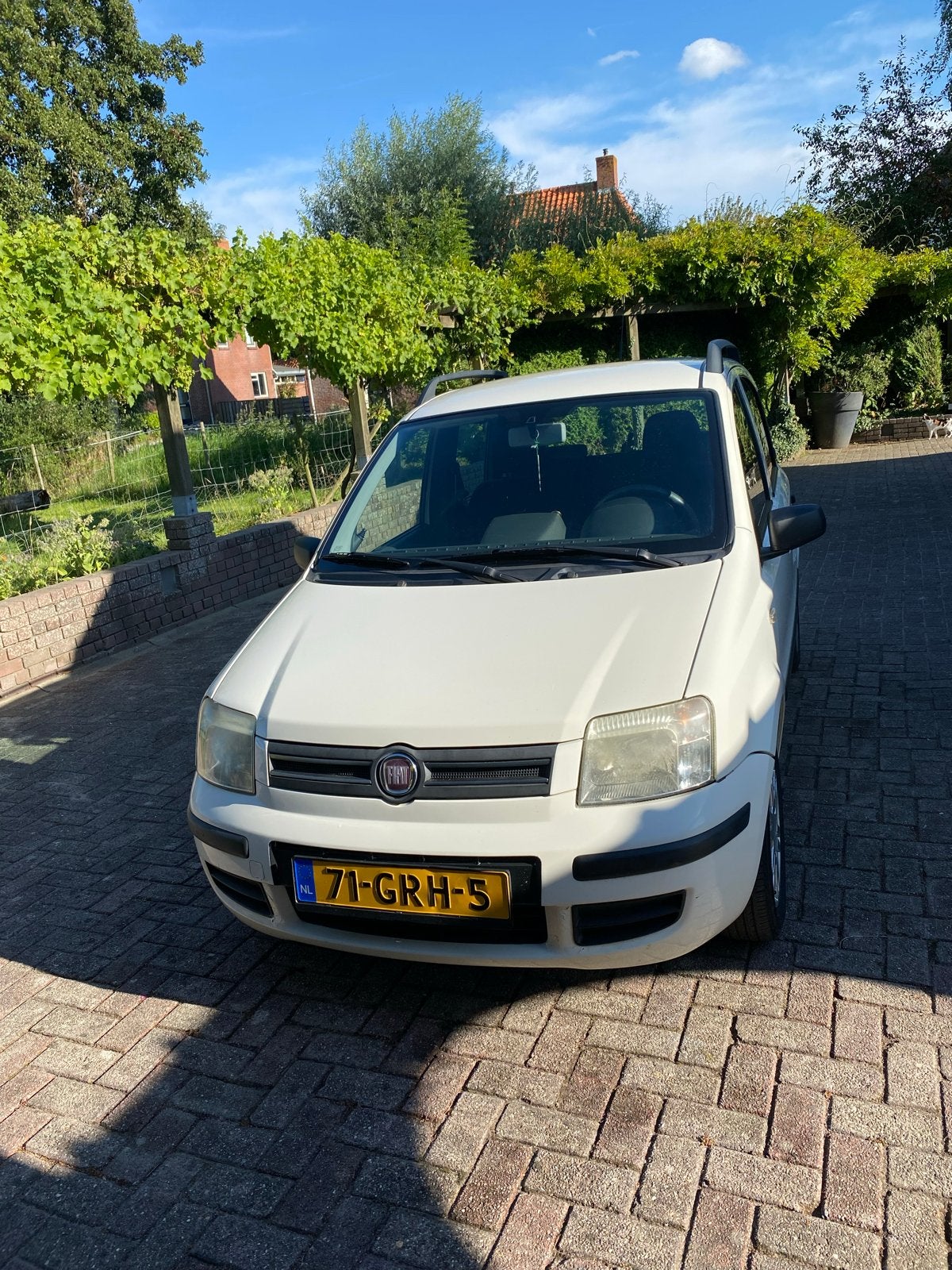 Fiat Panda 1.2 44KW 60PK 2008 Wit, Auto's, Fiat, Voorwielaandrijving, Wit, Origineel Nederlands, Handgeschakeld