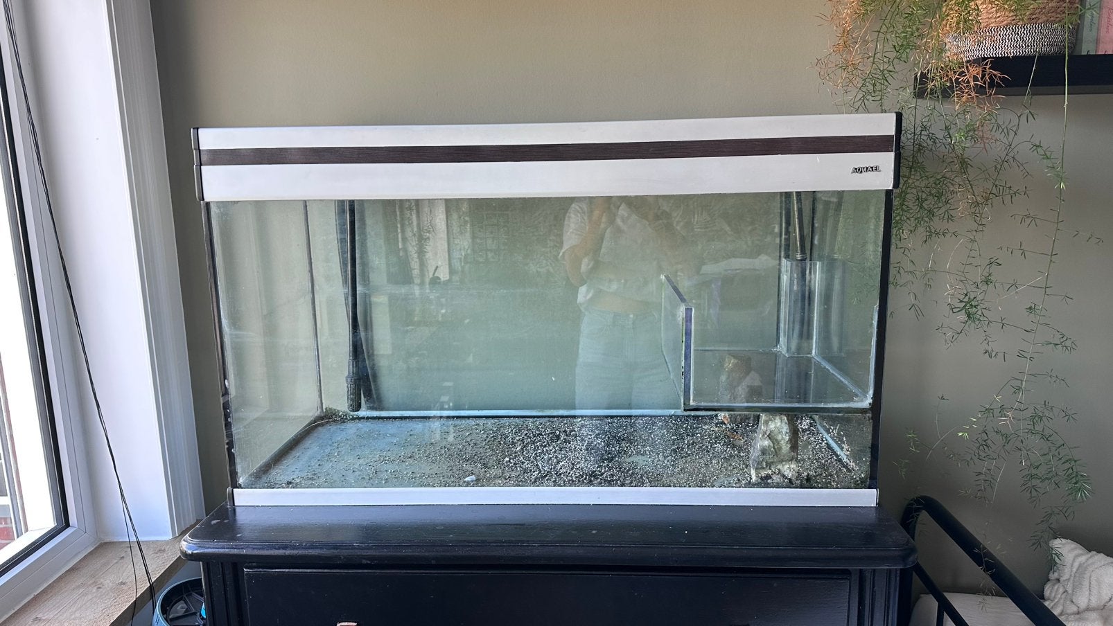 Aquarium te koop, Dieren en Toebehoren, Ophalen, Gebruikt, Aquael, Inclusief deksel
