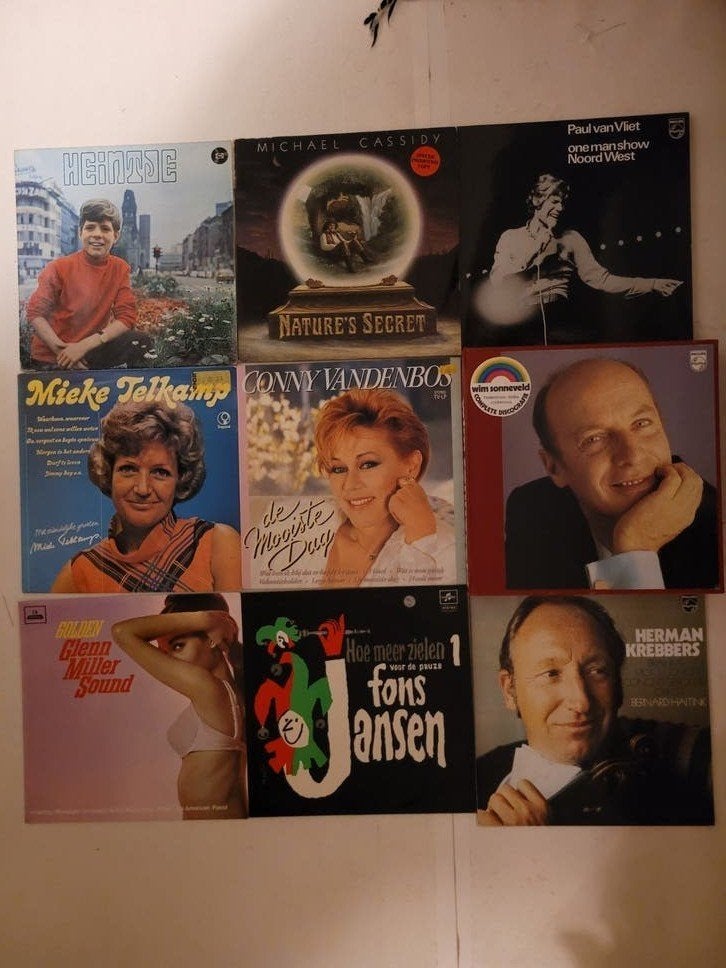 30 vinyl platen - diverse genres en artiesten, Ophalen, LP, Gebruikt, Pop