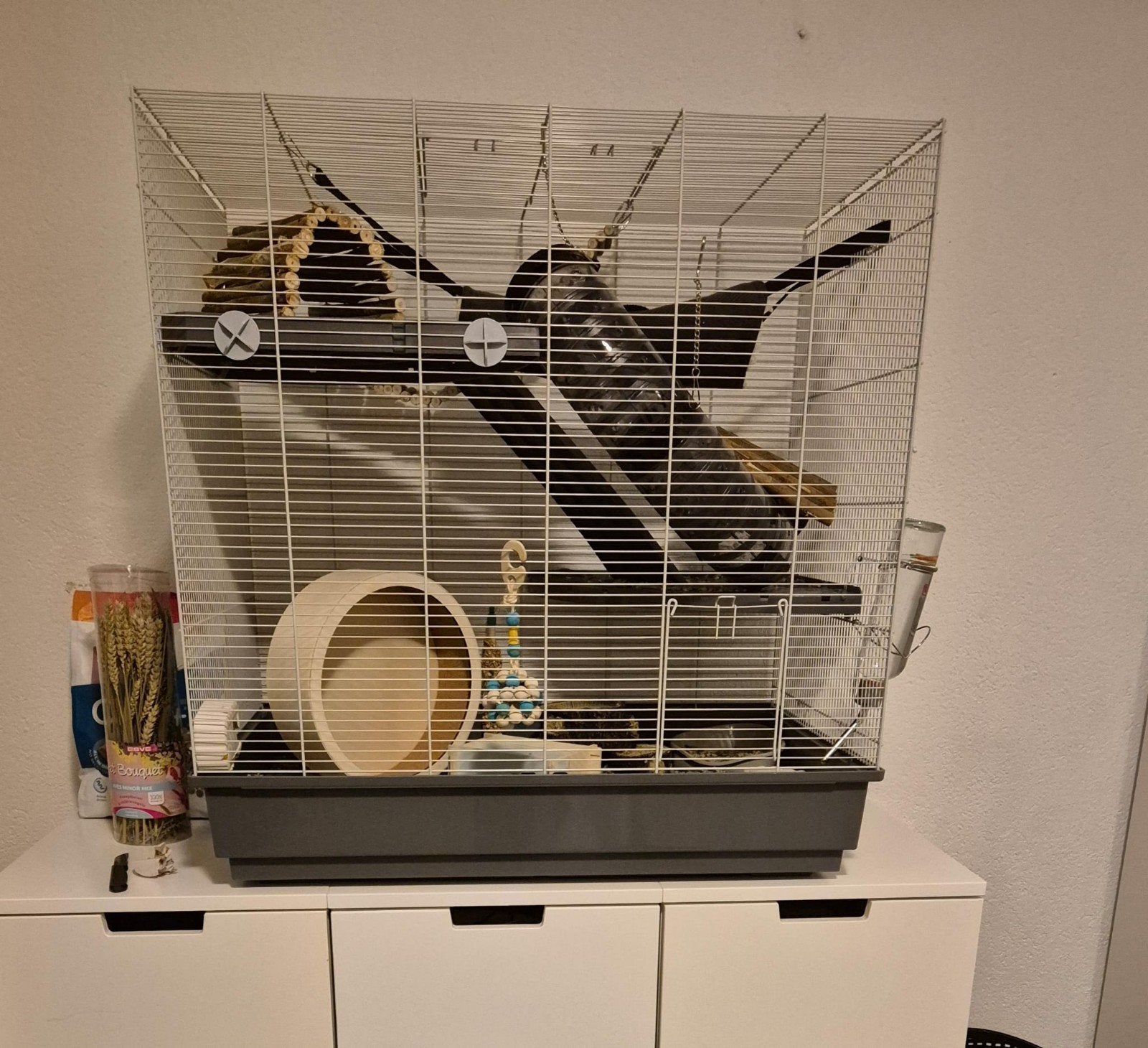 rattenkooi 13 dagen oud (lees de tekst), Ophalen, Nieuw, Kooi, 90 cm of meer
