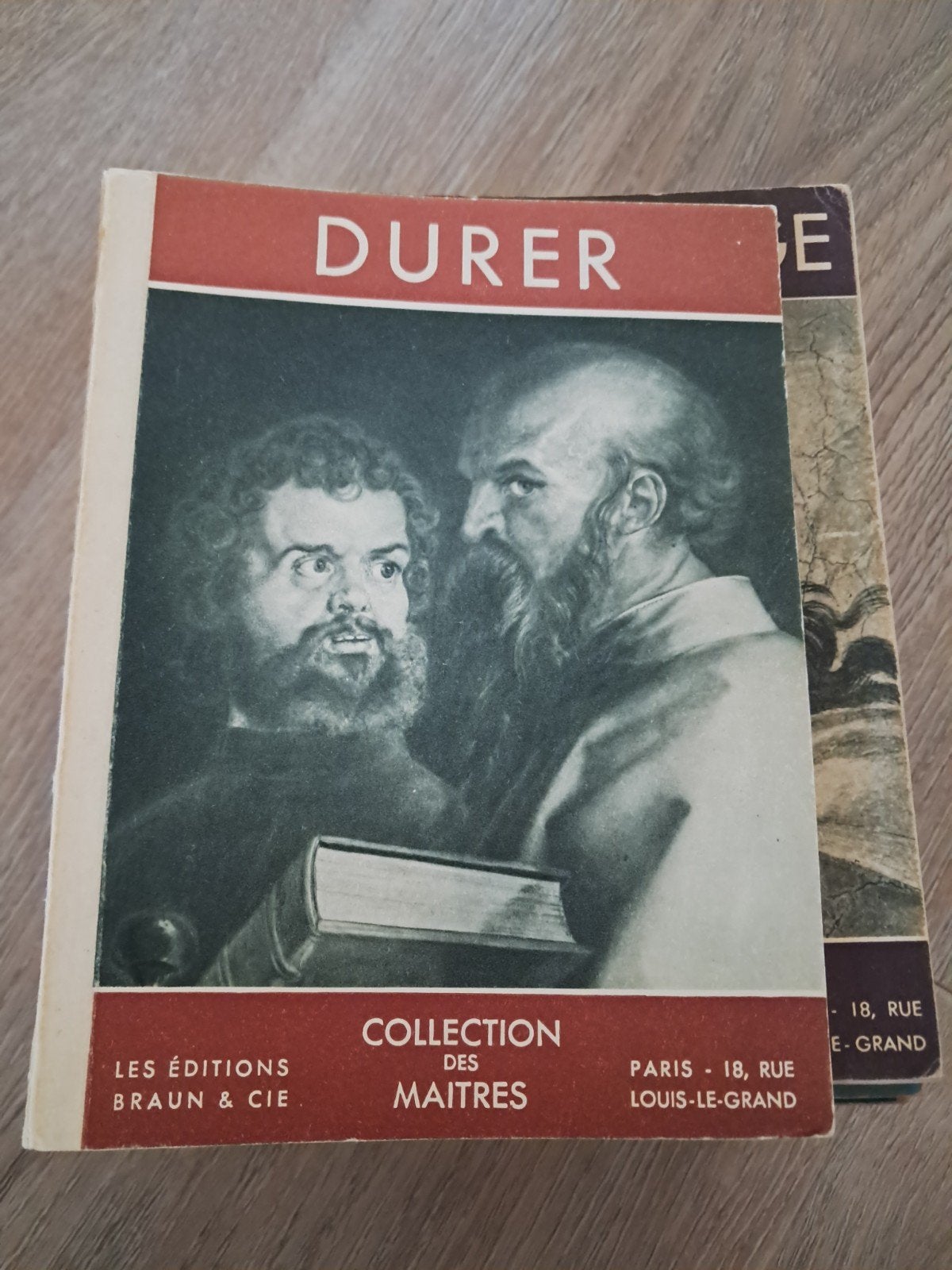 Collectie kunstboeken Rubens, Rembrandt, Titiaan, Michelang, Boeken, Ophalen of Verzenden