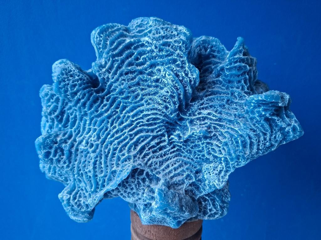 Koraal kaars/Zara Home, Overige materialen, Blauw, Ophalen of Verzenden, Zo goed als nieuw