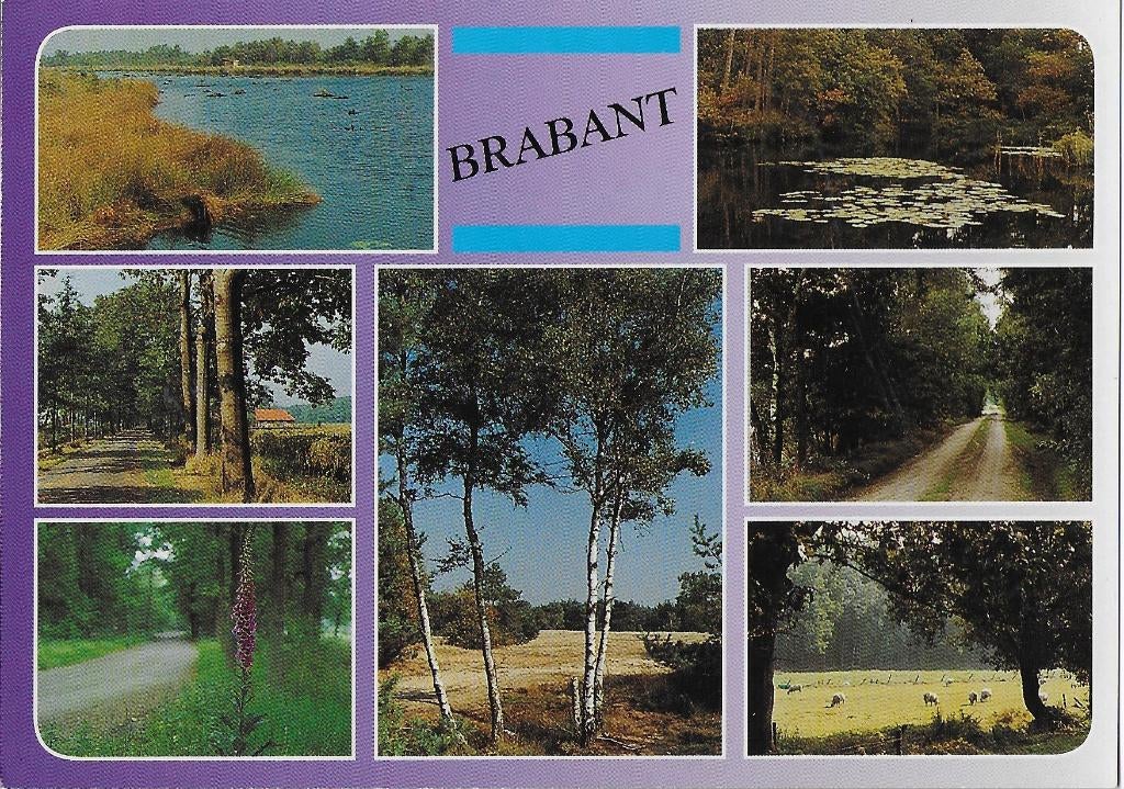 Ch232 ansichtkaart brabant ongelopen, Ophalen of Verzenden, 1980 tot heden, Ongelopen, Noord-Brabant