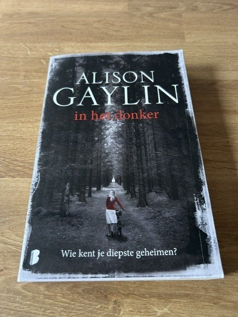 M35-boek In het donker van Alison Gaylin, Ophalen of Verzenden, Gelezen