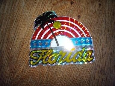Amerika Florida sticker lichtblauw 8 x 7 cm, Ophalen of Verzenden, Zo goed als nieuw, Bedrijf of Vereniging