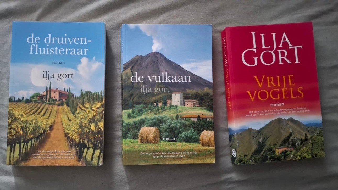 3 boeken van Ilya Gort, Ophalen of Verzenden, Gelezen, Ilya Gort, Nederland