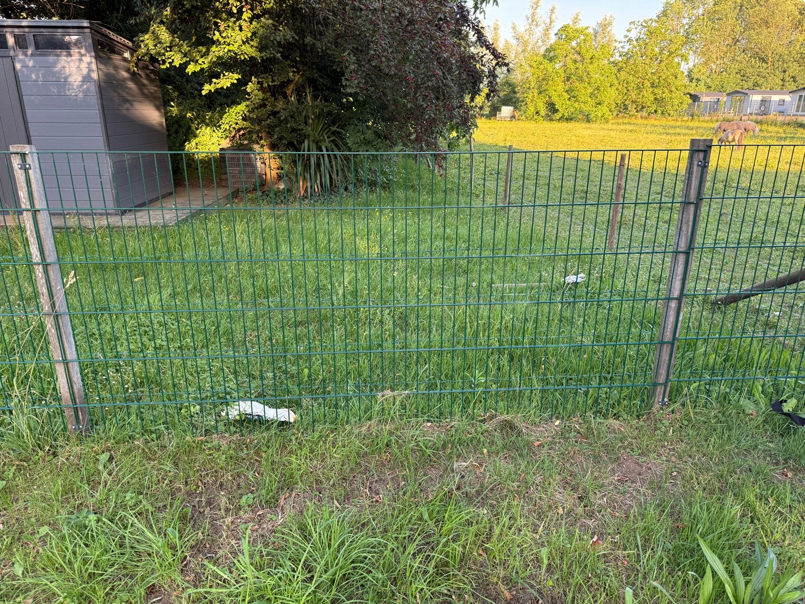 7 staafmat hekwerk delen - 250x120cm - Direct beschikbaar, Tuin en Terras, Ophalen, Gebruikt, IJzer, Dubbelstaafmat hekwerk