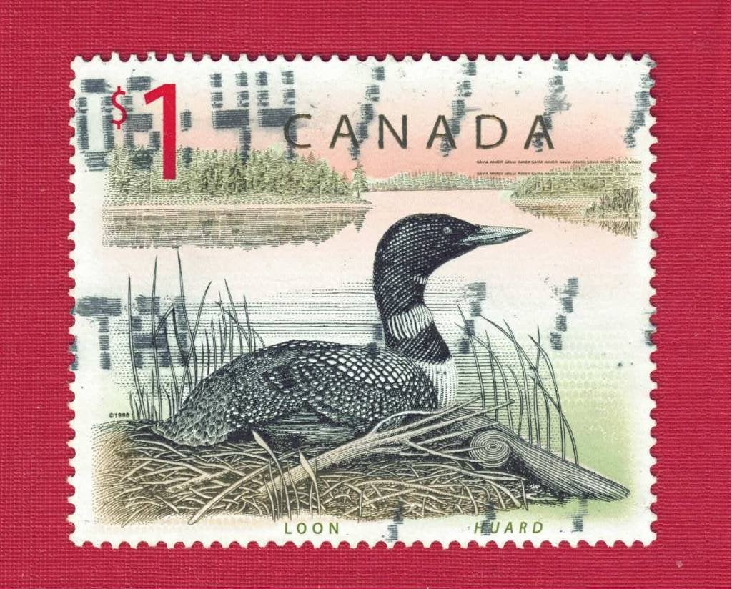 Canada - cat.nr. 1725 - de IJsduiker (jr.'98) - gebr, Ophalen of Verzenden, Gestempeld, Noord-Amerika