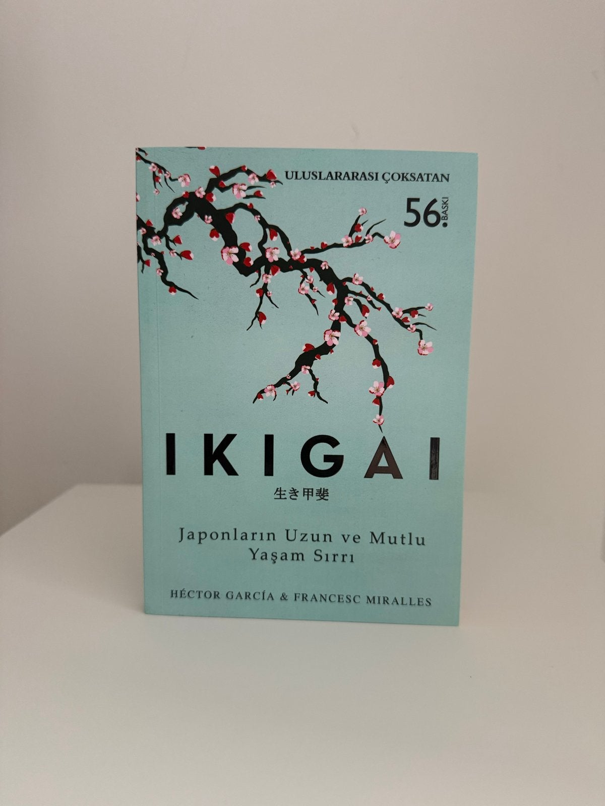 Ikigai (Turks boek), Boeken, Ophalen of Verzenden, Zo goed als nieuw, Wereld overig