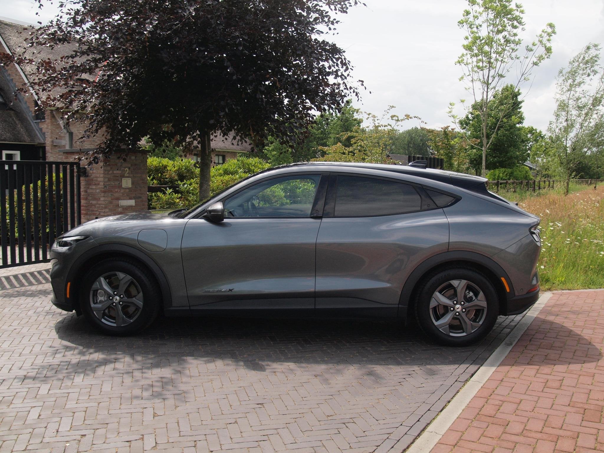 Foto 7 van Ford Mustang Mach-E Extended RWD 98 kWh | Panoramadak | Bang