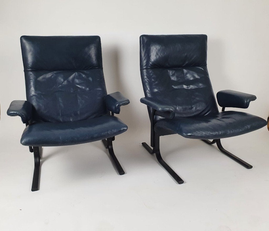 De Sede DS-2030 design fauteuils (2X), Ophalen, De Sede, Gebruikt, Arkelse Onderweg 4 4206 AH, Gorinchem