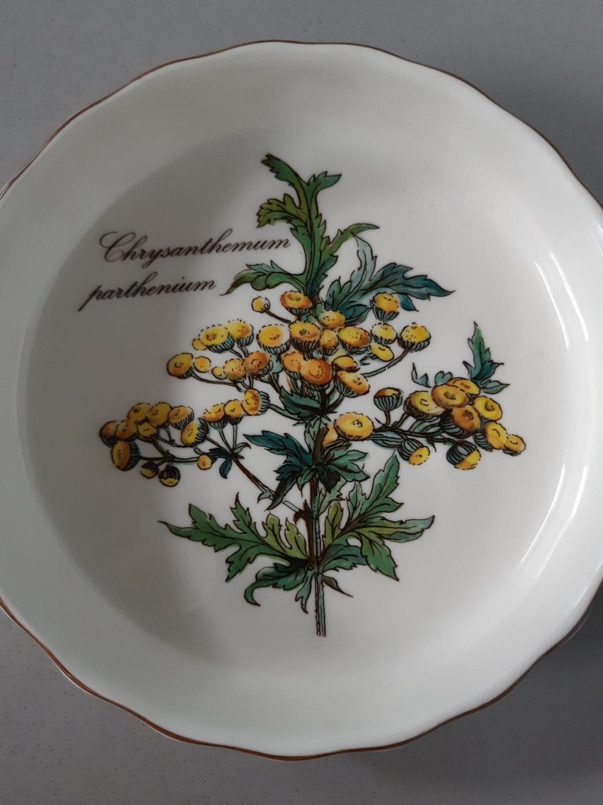 4 Quicheschaaltjes Villeroy en Boch Botanica, Ophalen of Verzenden, Overige stijlen, Porselein, Schaal of Schalen