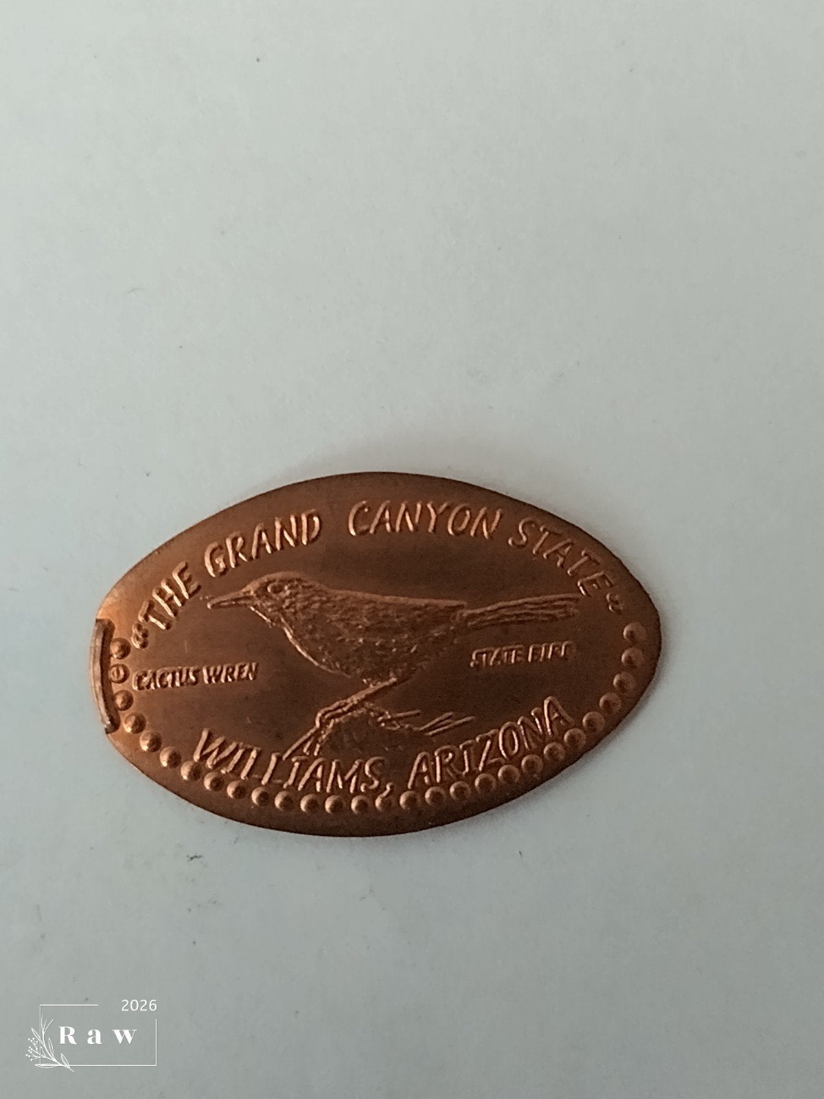 Pressed Penny Williams Arizona Grand Canyon State, Ophalen of Verzenden, Overige materialen