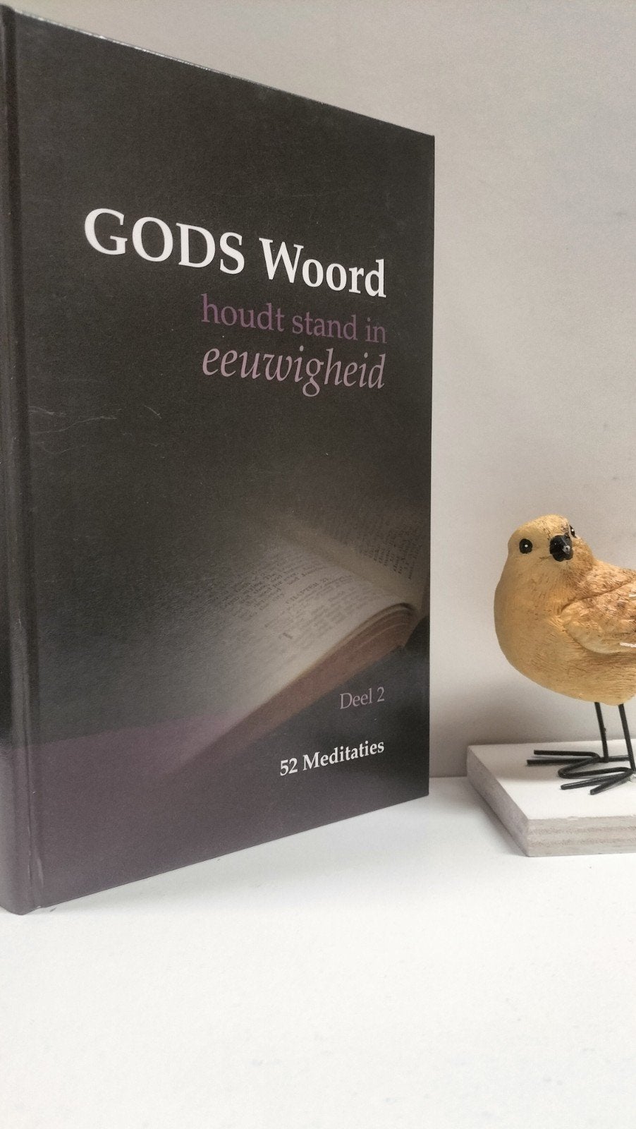 Diverse Predikanten:  Gods Woord houdt stand in, Ophalen of Verzenden, Gelezen, Christendom | Protestants
