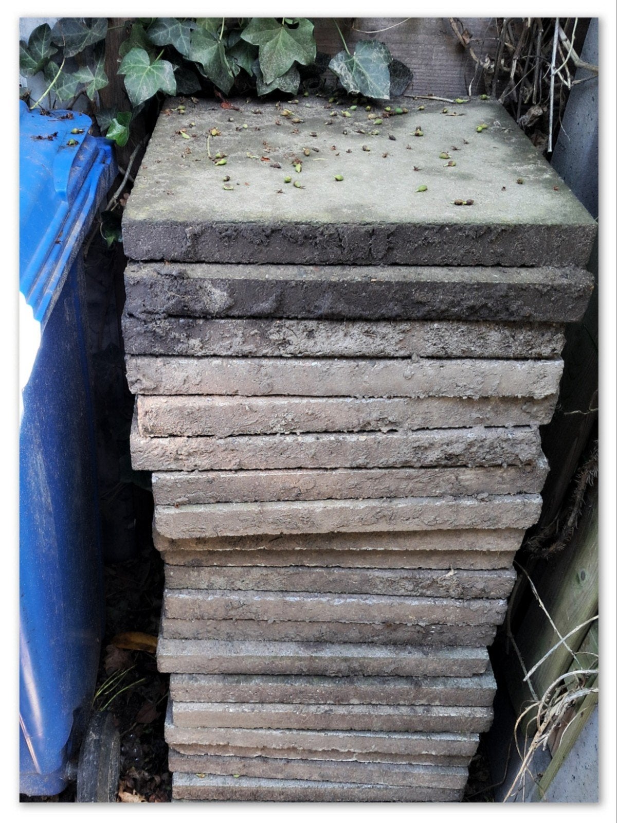 Gratis af te halen: nette 50x50cm betontegels, Tuin en Terras, Tegels en Klinkers, Ophalen, Gebruikt, Beton, Terrastegels