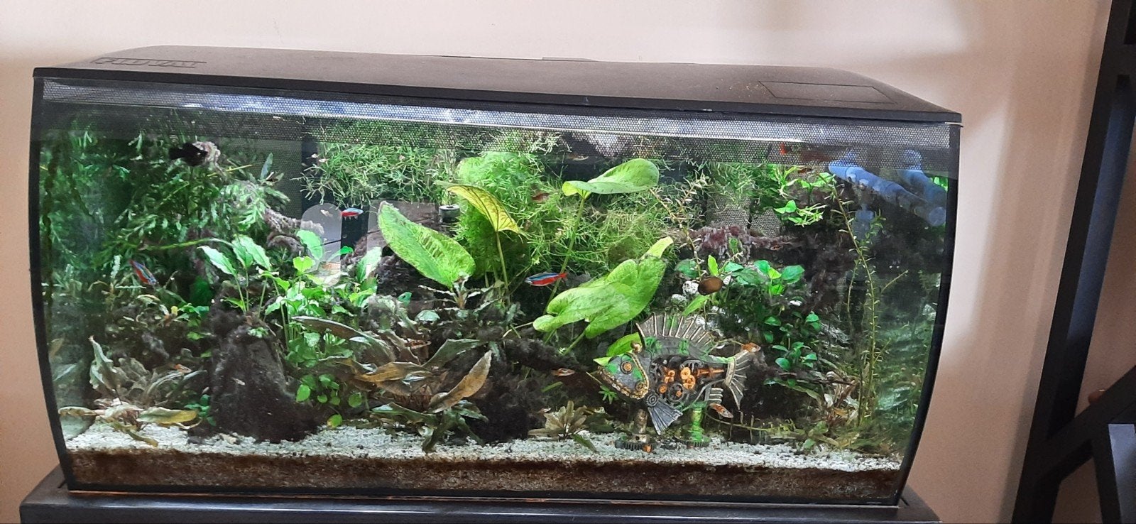 FLUVAL Aquarium Flex LED zwart 123 L, 82x40x39 cm, Dieren en Toebehoren, Ophalen, Inclusief deksel, Fluval, Gevuld zoetwateraquarium