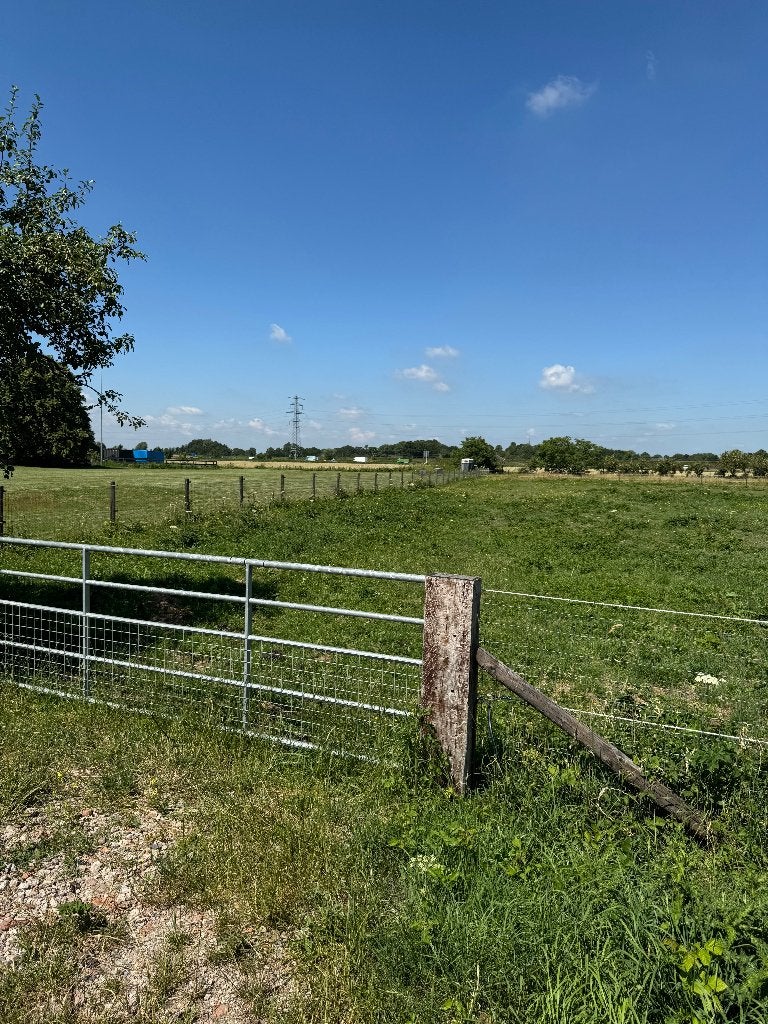 Te huur: Paardenwei (3000 m²) met dubbele stal, naast manege, Dieren en Toebehoren, Weidegang, 2 of 3 paarden of pony's
