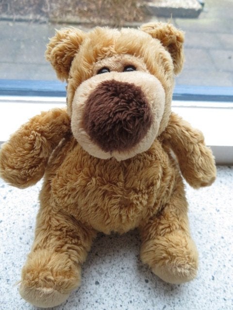 Beer bruin velours merk Evora Kruidvat meet ca 18 cm, Kinderen en Baby's, Beer, Wasbaar, Ophalen of Verzenden, Zo goed als nieuw