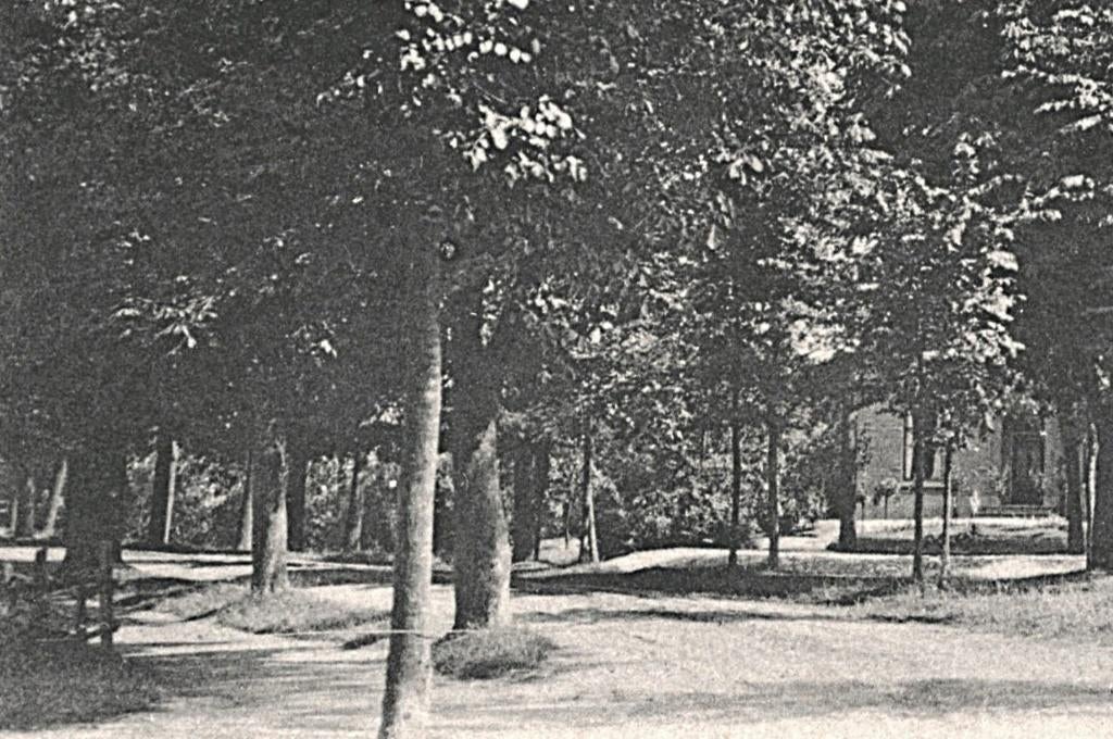 983570 Rossum Gld Postzegel Afgeweekt, Ophalen of Verzenden, Voor 1920, Gelopen, Gelderland