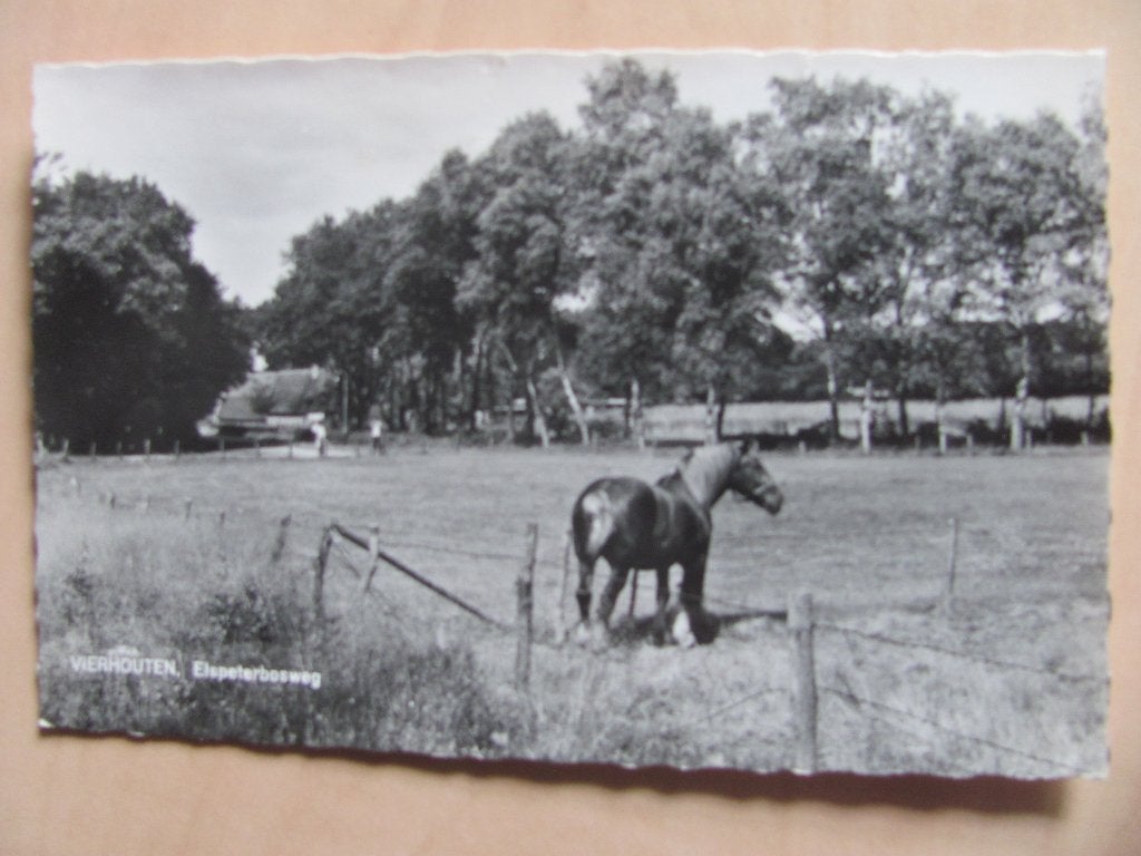 Vierhouten 1963 Elspeterbosweg, Ophalen of Verzenden, 1960 tot 1980, Gelopen, Gelderland