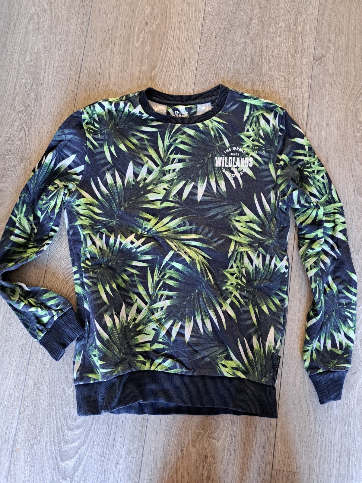 WE trui maat 170 / 176, Kinderen en Baby's, Kinderkleding | Maat 170, Ophalen of Verzenden, Zo goed als nieuw, Jongen, Trui of Vest