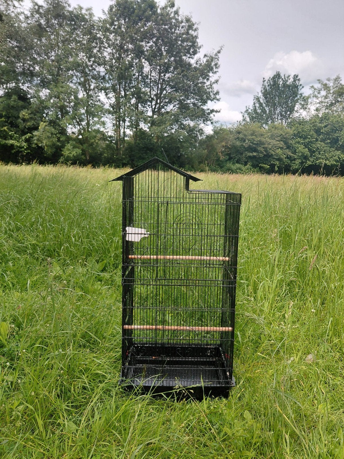 Vogelkooi, Ophalen, Metaal, Vogelkooi