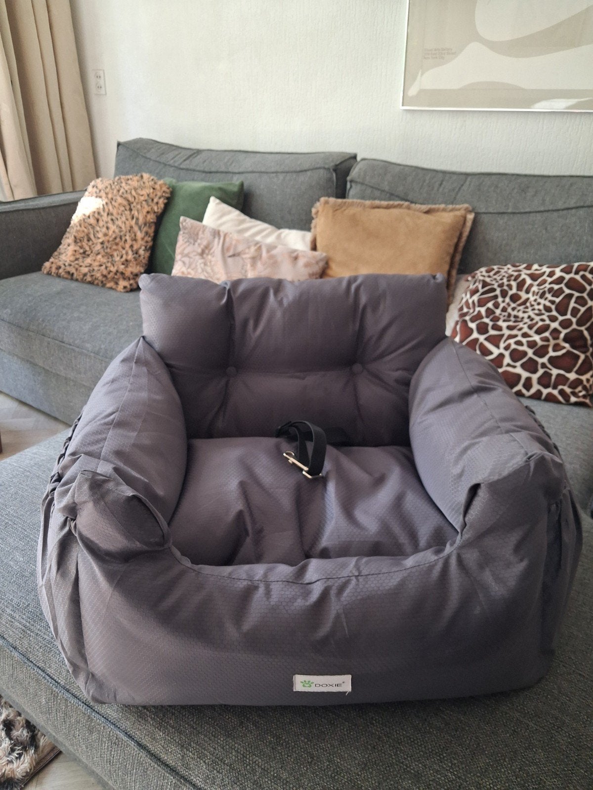 Comfortabele hondenmand voor in de auto, merk Doxie, Dieren en Toebehoren, Ophalen of Verzenden, Zo goed als nieuw, Overige