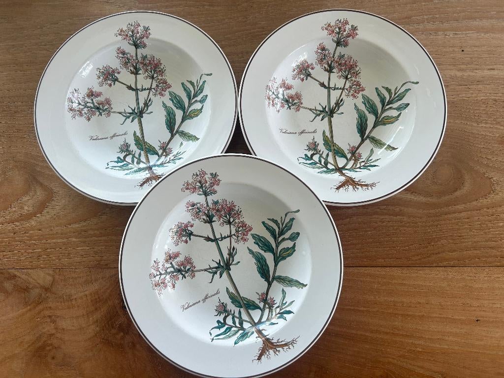 Botanica diepe borden (Villeroy & Boch), Ophalen of Verzenden