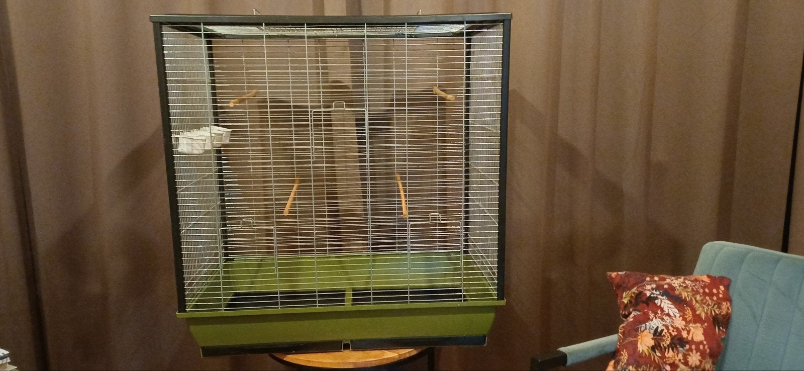 Nette vogelkooi 80x50x80, Dieren en Toebehoren, Ophalen, Zo goed als nieuw, Vogelkooi