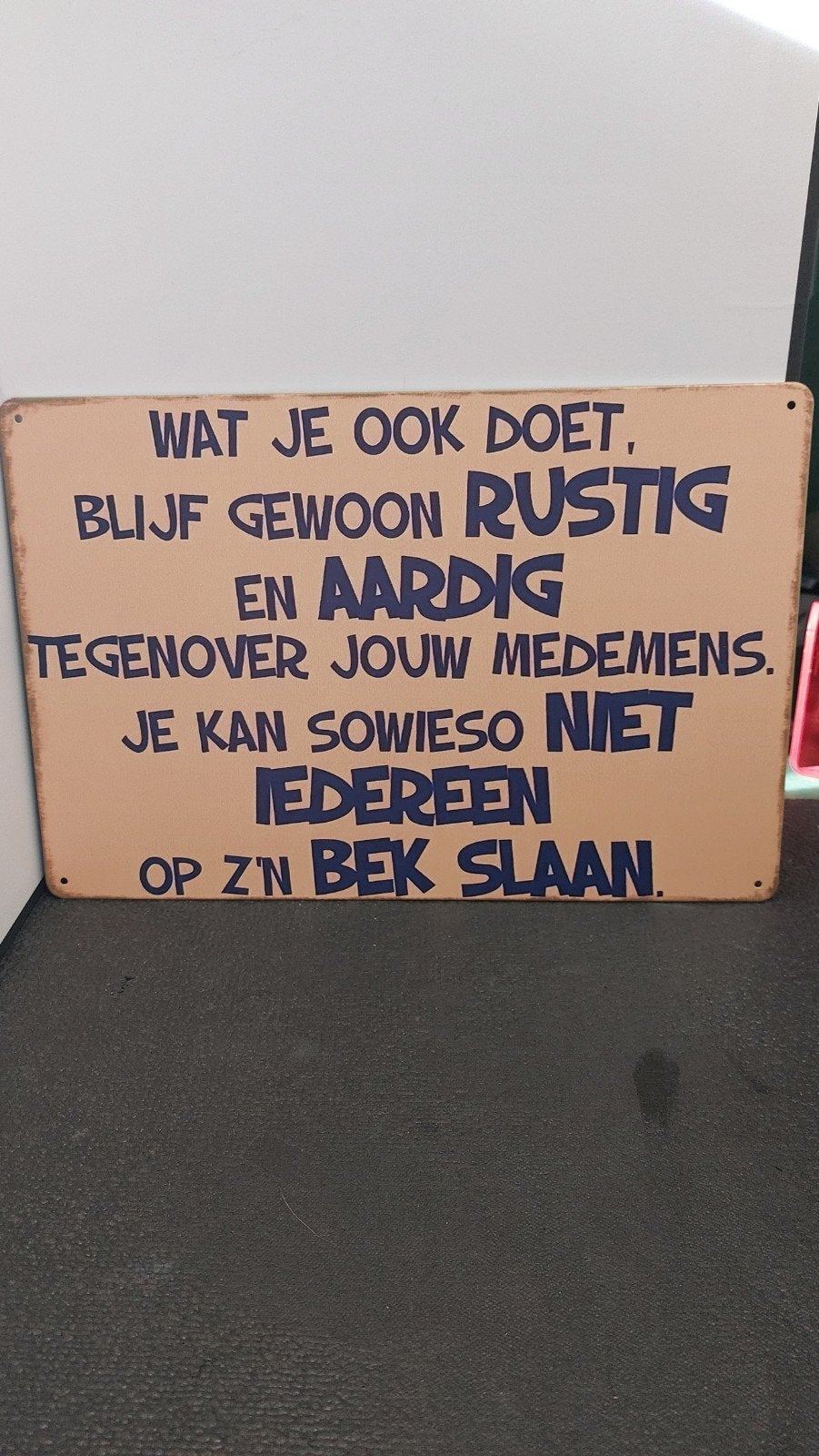 Decoratief bord met humoristische tekst 20x30cm, Meerkleurig, Overige stijlen, Nieuw, Ophalen of Verzenden