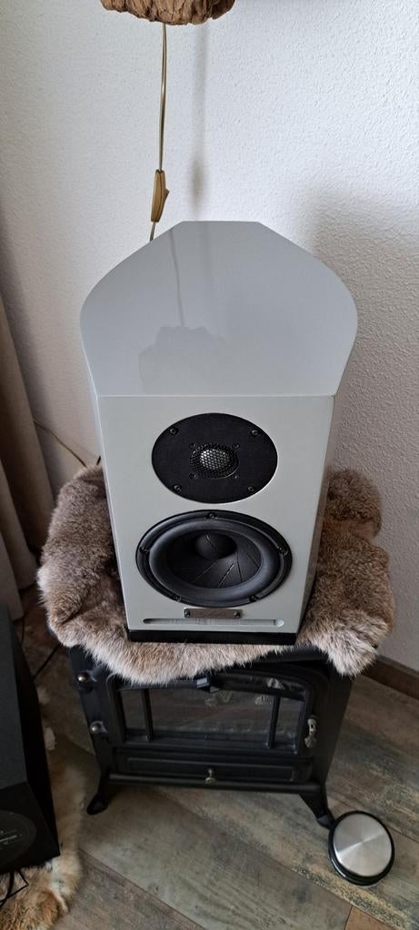 Scanspeak Revelator speakers in Sonus Faber stijl kasten, Audio, Tv en Foto, Luidsprekers, Gebruikt, 60 tot 120 watt, Front, Rear of Stereo speakers