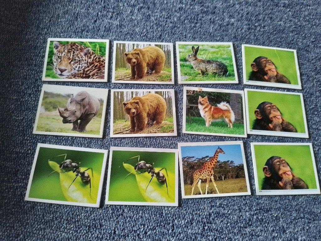 enkele dierenkaarten, Verzamelen, Verzenden, Zo goed als nieuw, Overige typen