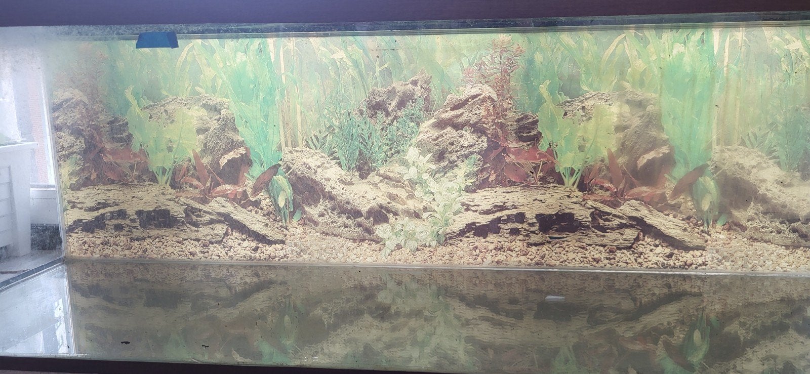 Mooi net aquarium 160x59x51, Ophalen, Inclusief deksel, Zo goed als nieuw, Leeg aquarium