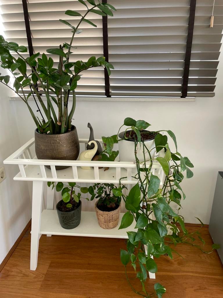 Plant Stand - IKEA, Ophalen of Verzenden, Zo goed als nieuw, Bord