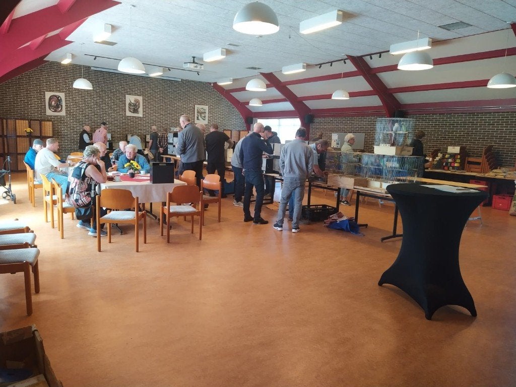 VOGELMARKT, Dieren en Toebehoren, Meerdere dieren, Parkiet