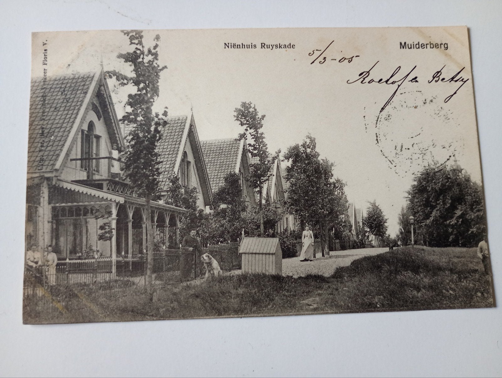Muiderberg Nienhuis Ruyskade 1905, Ophalen of Verzenden, Voor 1920, Gelopen, Noord-Holland
