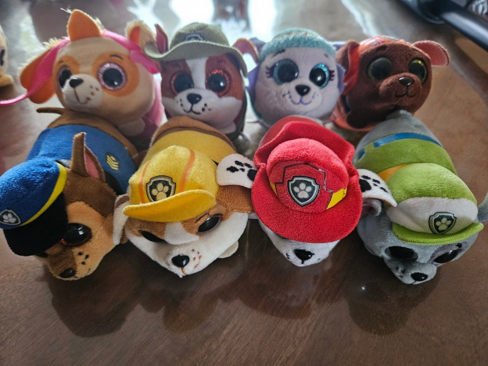 8 Ty teeny Beanie Paw Patrol knuffels - complete set, Meerkleurig, Klein (minder dan 20 cm), Ty, Paw Patrol