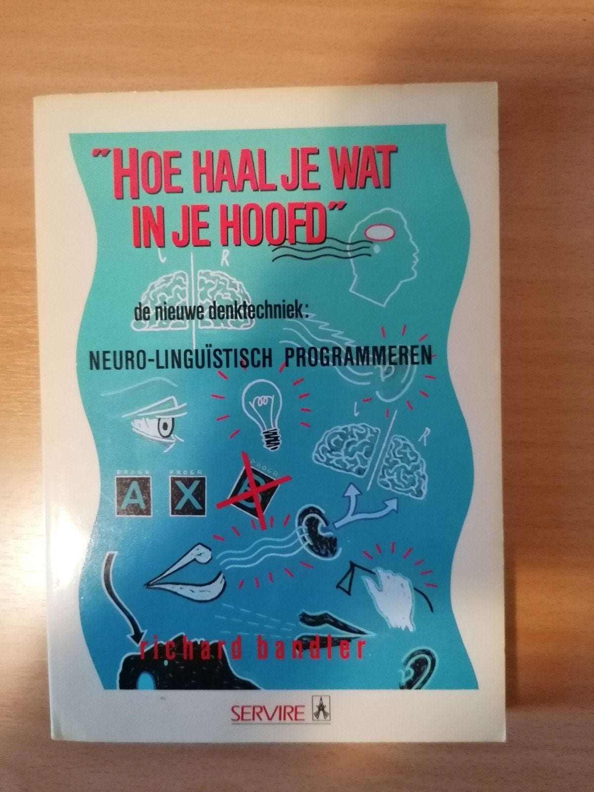 Boek: Hoe haal je wat in je hoofd - NLP, Boeken, Ophalen of Verzenden, Gelezen, Richard Bandler