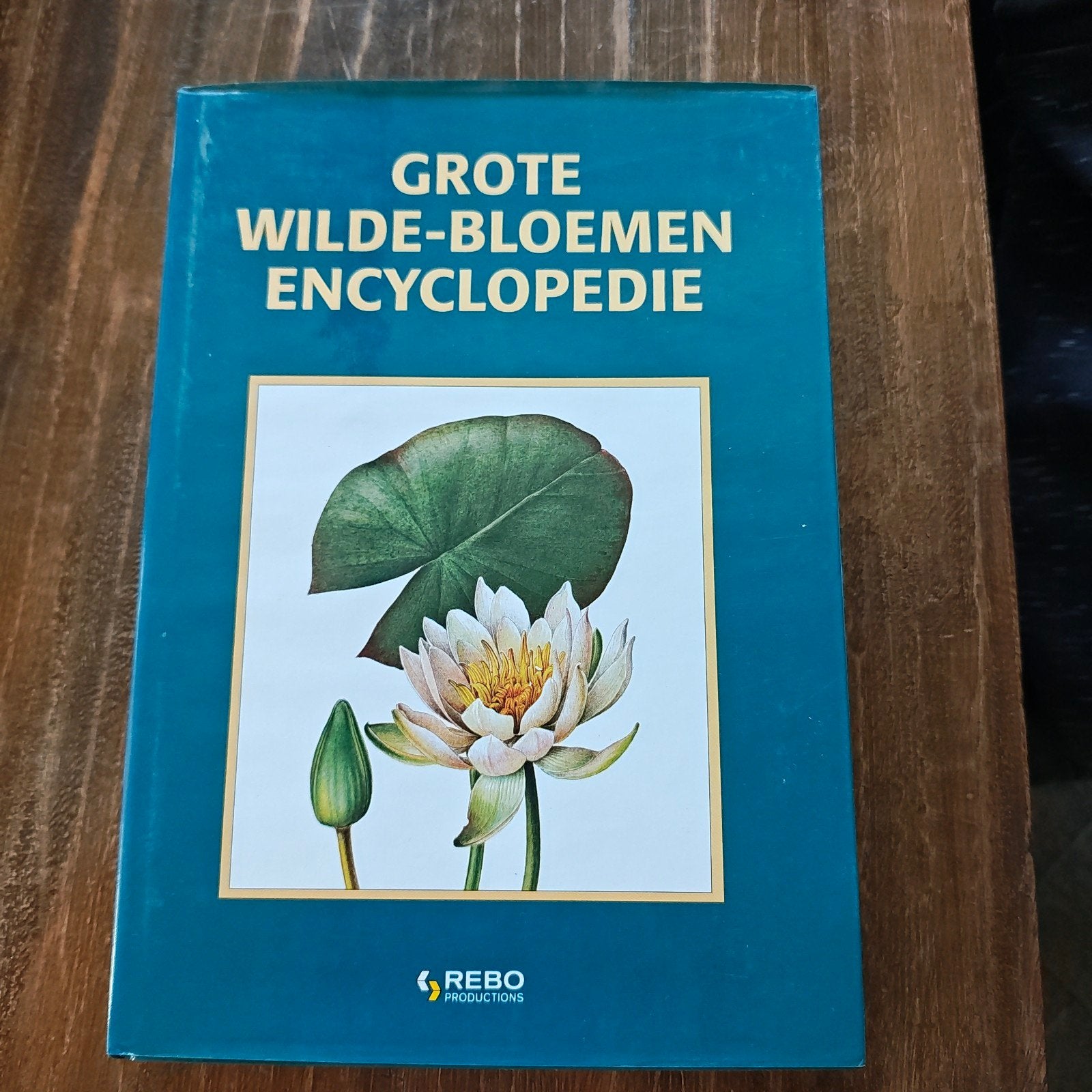 Grote Wilde-Bloemen Encyclopedie - Rebo Productions, Ophalen of Verzenden, Gelezen, Bloemen en Planten, Los deel