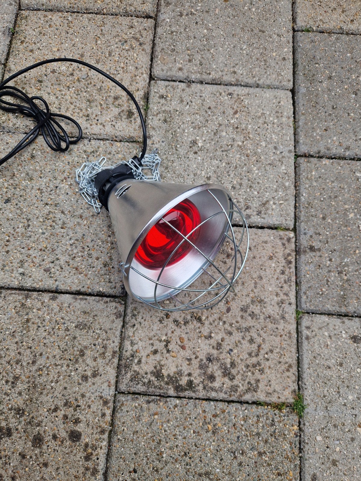 Lamp voor bevalling voor katten, Ophalen