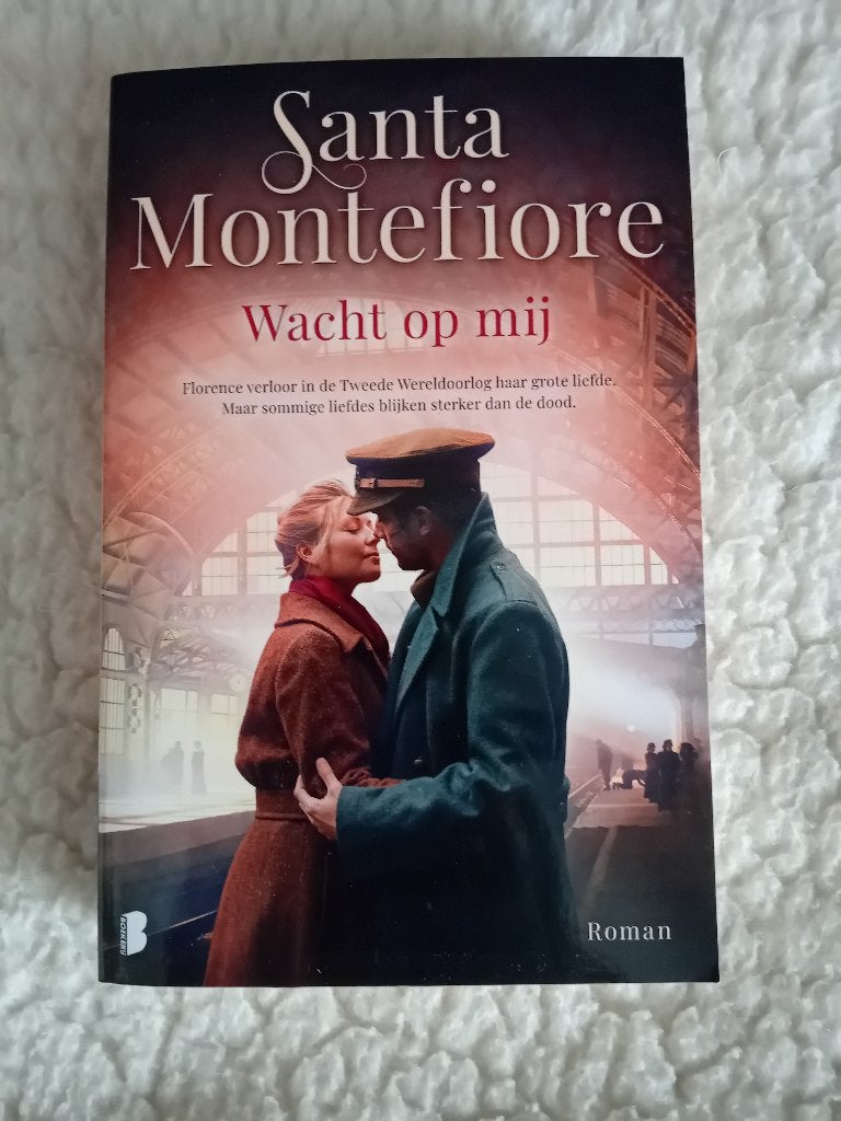 Santa Montefiore, Boeken, Romans, Ophalen of Verzenden, Zo goed als nieuw, Amerika